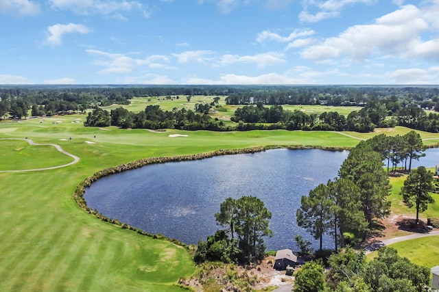 4502 Ailsa Ct Unit B, Conway, SC 29526 - bird's eye view of a large body of water and a golf course