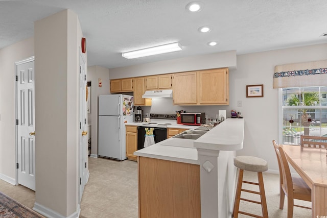 493 White River Dr Unit 28-D, Myrtle Beach, SC 29579 - kitchen with under cabinet range hood, freestanding refrigerator, electric range, light brown cabinetry, and light countertops