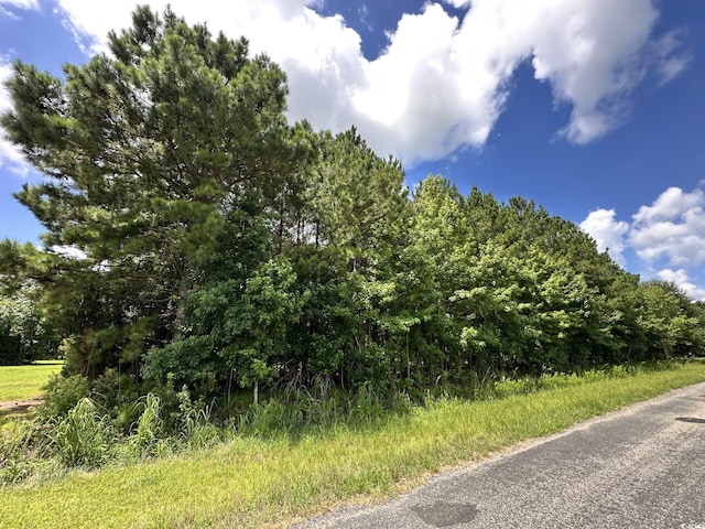 TBD Hamps Rd, Nichols, SC 29581