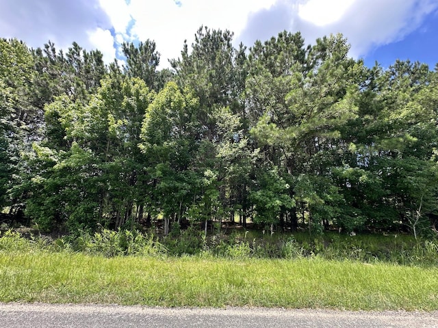 TBD Hamps Rd, Nichols, SC 29581