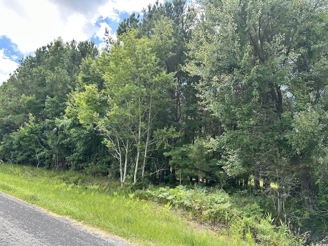 TBD Hamps Rd, Nichols, SC 29581