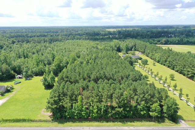 TBD Hamps Rd, Nichols, SC 29581