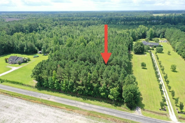 TBD Hamps Rd, Nichols, SC 29581