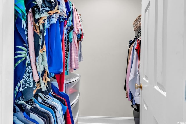 4507 Smilax Pl, Murrells Inlet, SC 29576 - view of spacious closet
