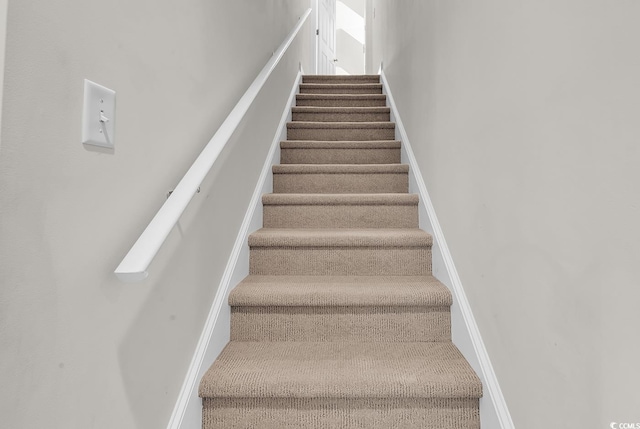 4507 Smilax Pl, Murrells Inlet, SC 29576 - stairs with carpet flooring