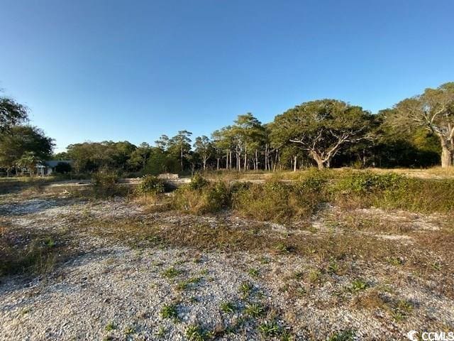 TBD Jacks Circle Rd, North Myrtle Beach, SC 29582