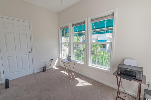 9755 Leyland Dr Unit 11, Myrtle Beach, SC 29572 - home office featuring carpet flooring