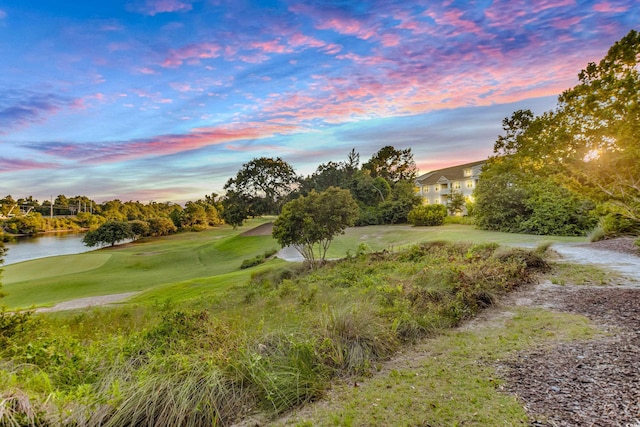 6203 Catalina Dr Unit 935, North Myrtle Beach, SC 29582 - view of property's community featuring golf course view, view of scattered trees, a water view, and a yard