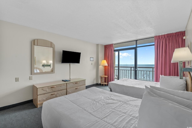 9550 Shore Dr Unit 1537/1538, Myrtle Beach, SC 29572 - carpeted bedroom featuring access to outside, a wall of windows, and a textured ceiling