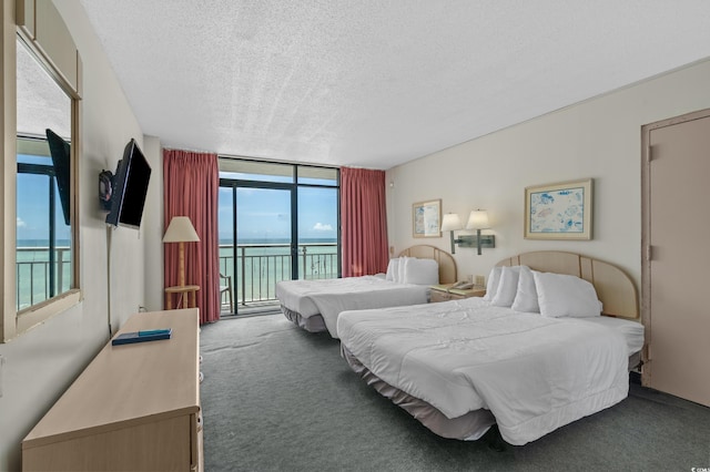 9550 Shore Dr Unit 1537/1538, Myrtle Beach, SC 29572 - bedroom with access to outside, carpet flooring, expansive windows, a textured ceiling, and multiple windows