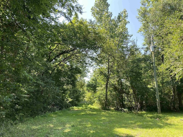 TBD Hollywood Ln, Conway, SC 29526 - photo 2