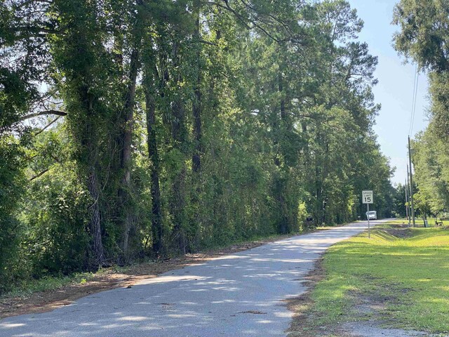 TBD Hollywood Ln, Conway, SC 29526 - photo 7