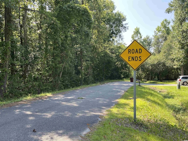 TBD Hollywood Ln, Conway, SC 29526 - photo 6