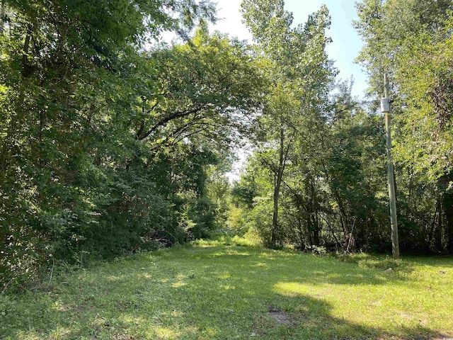 TBD Hollywood Ln, Conway, SC 29526 - photo 5