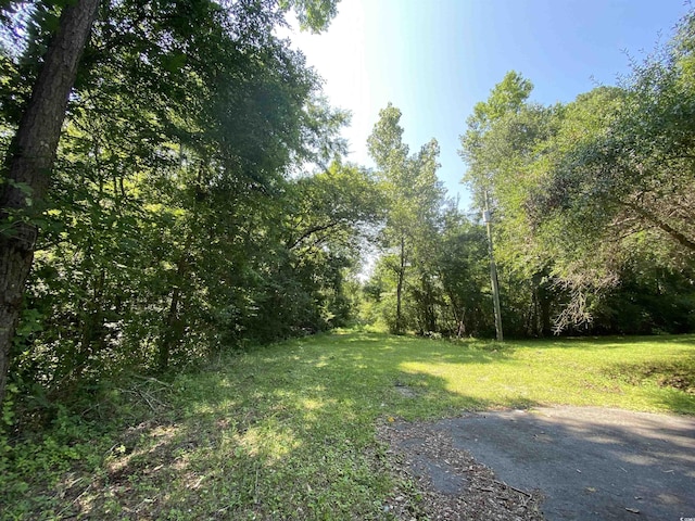 TBD Hollywood Ln, Conway, SC 29526 - photo 4