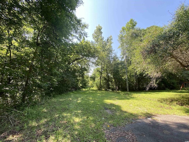 TBD Hollywood Ln, Conway, SC 29526 - photo 3