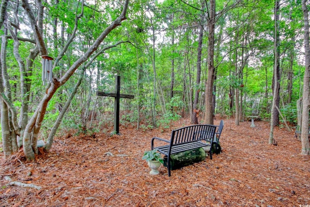 160 Winningham Ln, Myrtle Beach, SC 29588 - photo 34