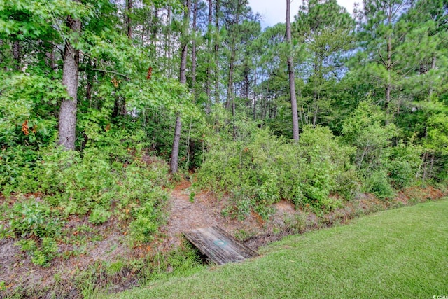 160 Winningham Ln, Myrtle Beach, SC 29588 - photo 36