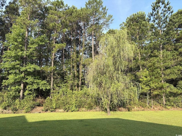 160 Winningham Ln, Myrtle Beach, SC 29588 - photo 37