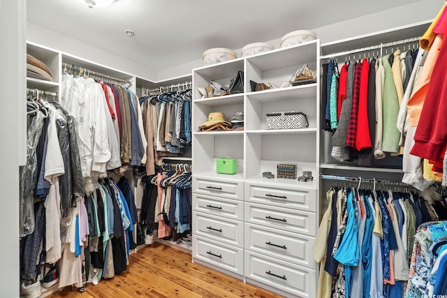 9547 Edgerton Dr Unit 405, Myrtle Beach, SC 29572 - walk in closet with light wood-type flooring