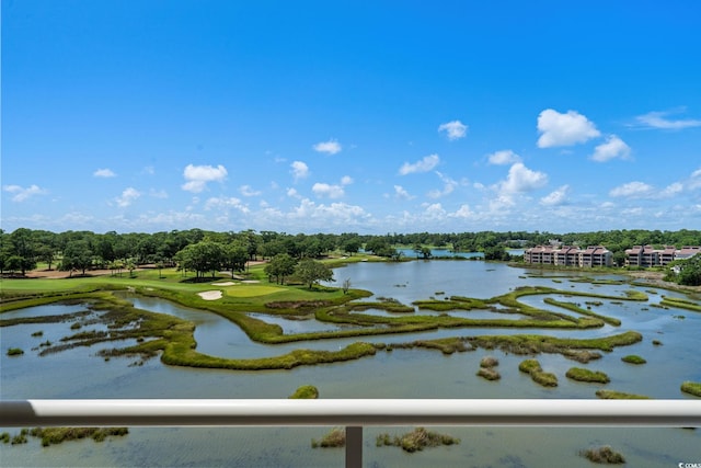9547 Edgerton Dr Unit 405, Myrtle Beach, SC 29572 - water view with a tree filled landscape