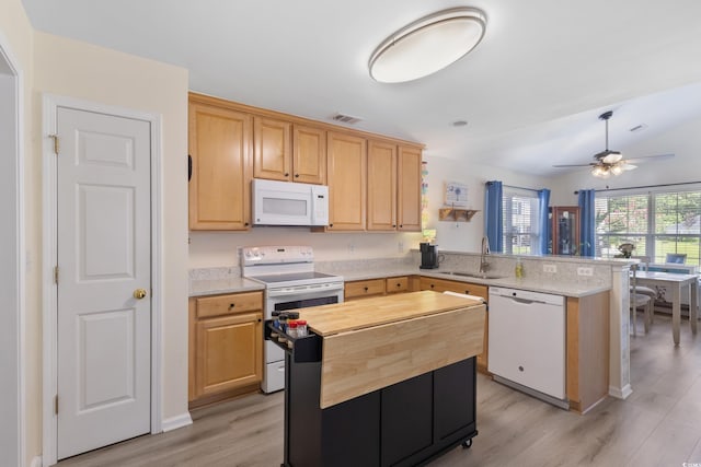 283 Whitchurch St, Murrells Inlet, SC 29576 - photo 18