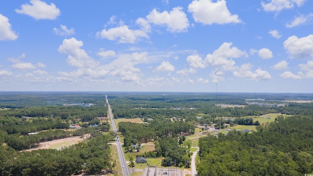 TBD Highway 90, Conway, SC 29526 - photo 8
