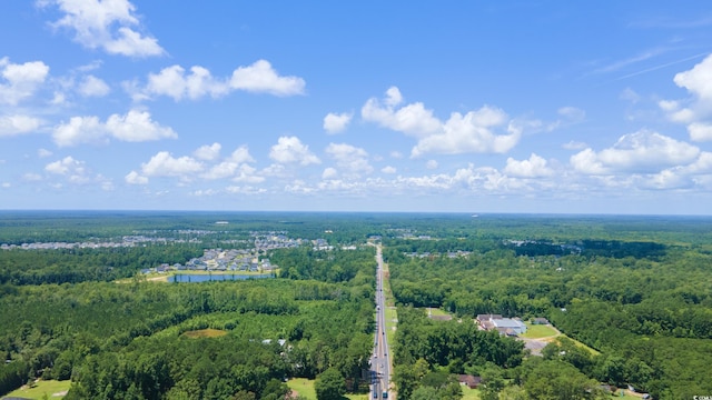 TBD Highway 90, Conway, SC 29526 - photo 6