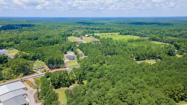 TBD Highway 90, Conway, SC 29526 - photo 5
