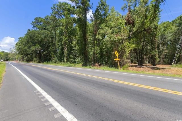 TBD Highway 90, Conway, SC 29526 - photo 4