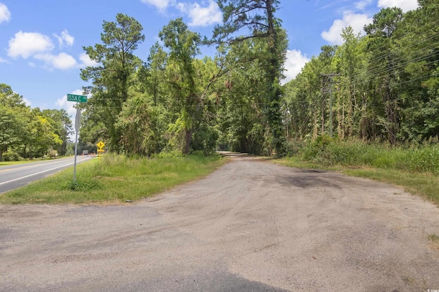 TBD Highway 90, Conway, SC 29526 - photo 3