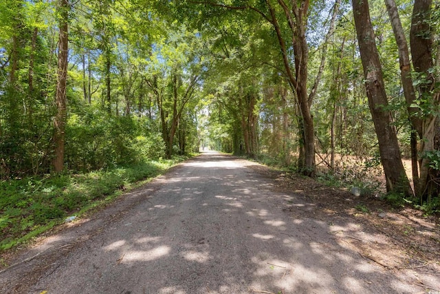 TBD Isaac Dr, Conway, SC 29526 - photo 5