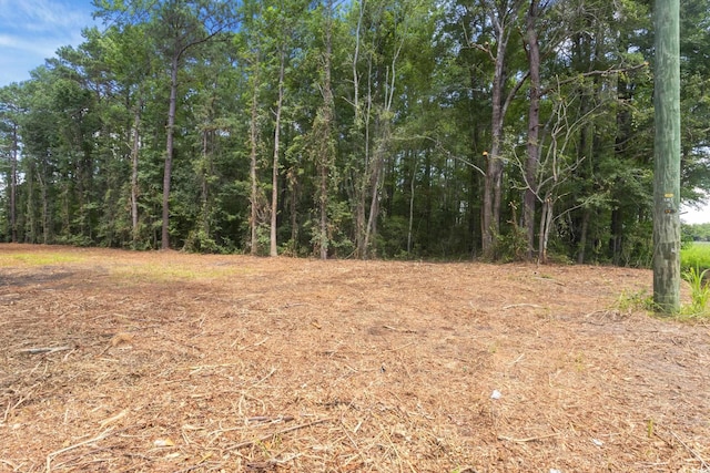 TBD Isaac Dr, Conway, SC 29526 - photo 4
