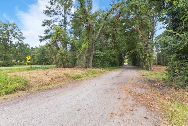 TBD Isaac Dr, Conway, SC 29526 - photo 3