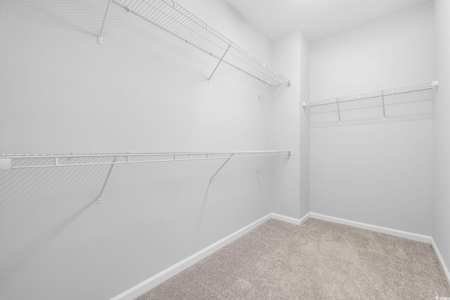 219 Glenmoor Dr, Conway, SC 29526 - walk in closet with carpet flooring