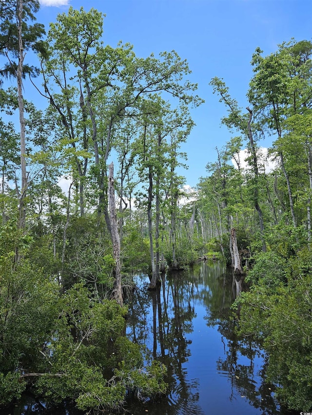 157 Mingo Chandler Rd, Nesmith, SC 29580 - photo 10