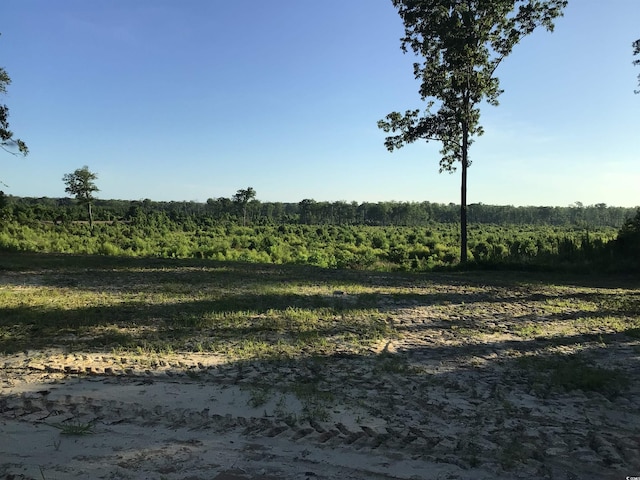 157 Mingo Chandler Rd, Nesmith, SC 29580 - photo 8