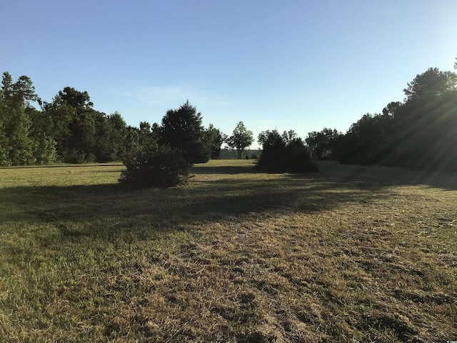 157 Mingo Chandler Rd, Nesmith, SC 29580 - photo 7