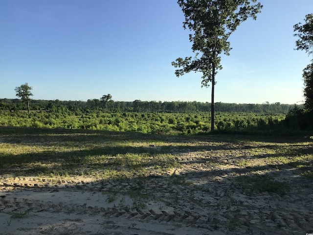 157 Mingo Chandler Rd, Nesmith, SC 29580 - photo 6