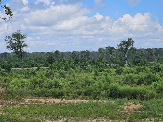 157 Mingo Chandler Rd, Nesmith, SC 29580 - photo 5