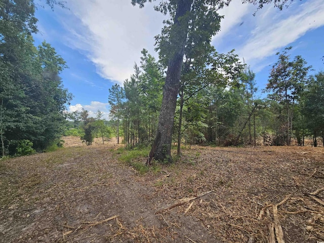 157 Mingo Chandler Rd, Nesmith, SC 29580 - photo 4