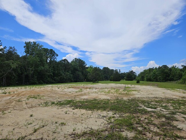 157 Mingo Chandler Rd, Nesmith, SC 29580 - photo 3