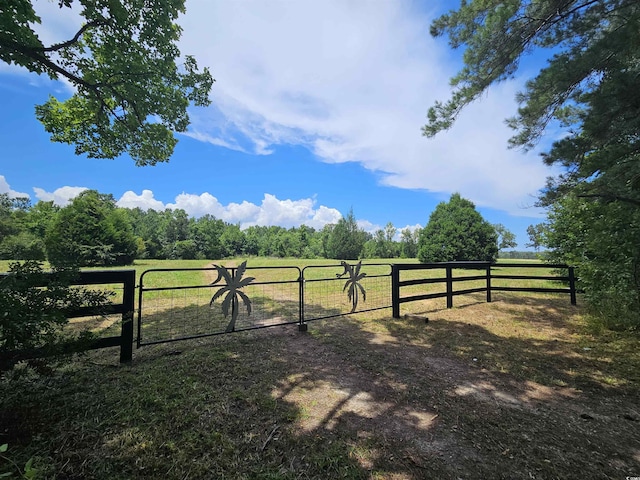 157 Mingo Chandler Rd, Nesmith, SC 29580 - photo 2
