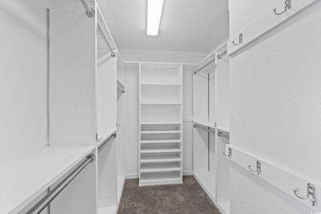 251 Myrtle Greens Dr Unit B, Conway, SC 29526 - spacious closet featuring dark colored carpet