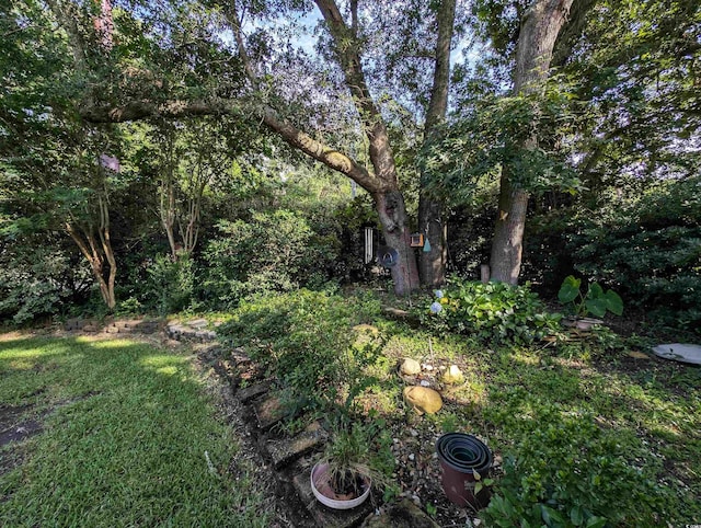 50 Pawleys Place Dr Unit 50, Pawleys Island, SC 29585 - view of yard