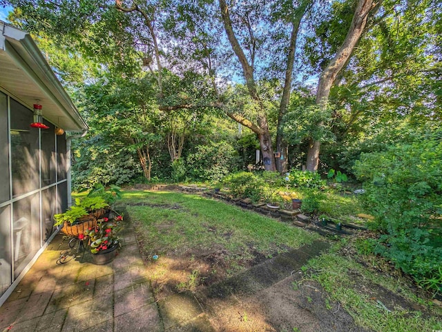 50 Pawleys Place Dr Unit 50, Pawleys Island, SC 29585 - view of yard featuring a sunroom