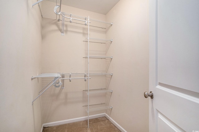 3619 White Wing Cir, Myrtle Beach, SC 29579 - walk in closet featuring carpet