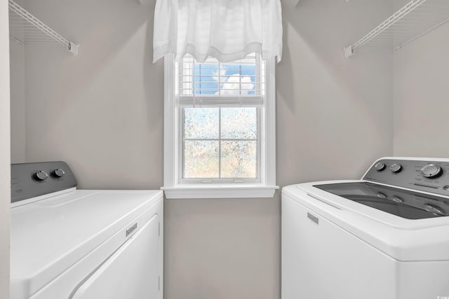 685 Tupelo Ln Unit 21B, Longs, SC 29568 - photo 15