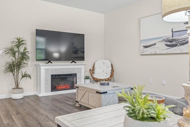 688 Wallace Dr, Little River, SC 29566 - living area with a glass covered fireplace and wood finished floors