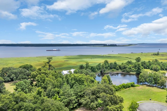 529 Oak Lawn Rd, Georgetown, SC 29440 - water view